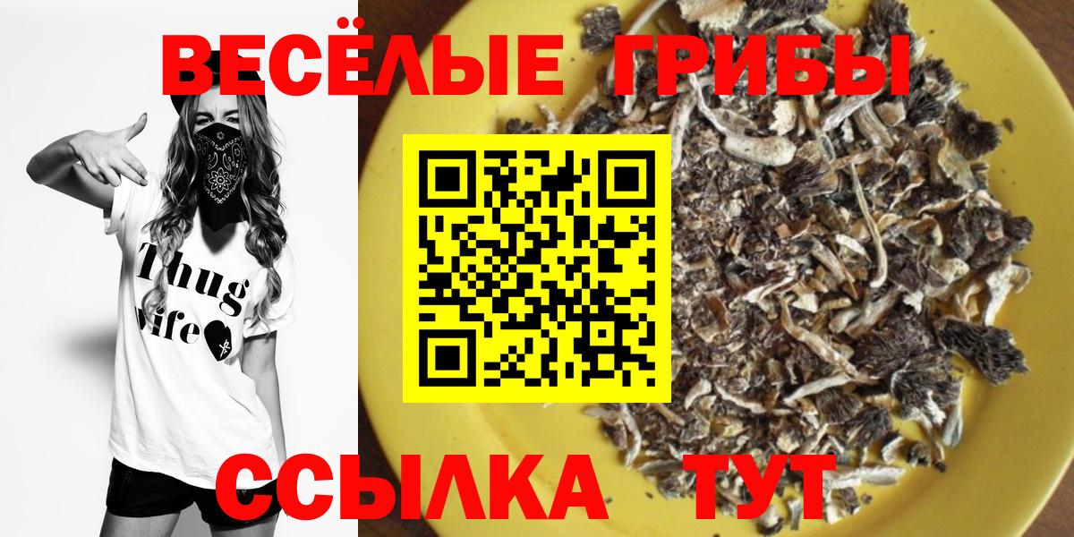 Галлюциногенные грибы прущие грибы Саяногорск