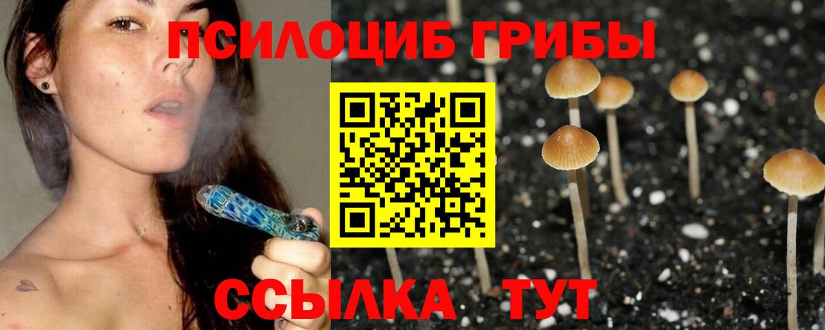 Псилоцибиновые грибы Psilocybine cubensis  Вход с VPN  Саяногорск 